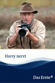 Harry nervt – 2013 – Online In Netflix