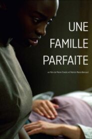 Une famille parfaite – 2006 – Online In Netflix