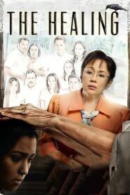 The Healing – 2012 – Online In Netflix