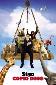 Regreso del Todopoderoso – 2007 – Online In Netflix