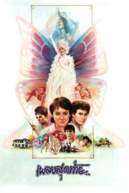 เพลงสุดท้าย – 1985 – Online In Netflix