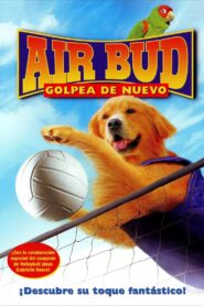 Air Bud: Golpea de Nuevo – 2003 – Online In Netflix
