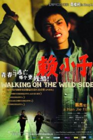 赖小子 – 2006 – Online In Netflix