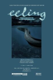Eeling – 2010 – Online In Netflix