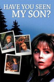 Have You Seen My Son – 1996 – Online In Netflix