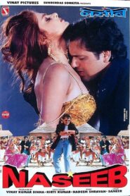 Naseeb – 1998 – Online In Netflix