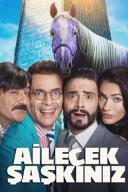Ailecek Şaşkınız – 2018 – Online In Netflix
