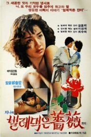 진아의 벌레먹은 장미 – 1982 – Online In Netflix