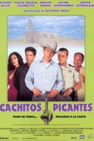 Picking Up the Pieces – 2000 – Online In Netflix