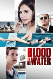 Blood in the Water – 2016 – Online In Netflix