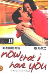 Now That I Have You – 2004 – Online In Netflix