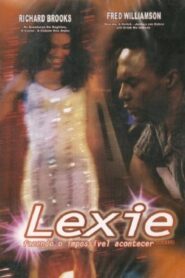 If Love Hadn’t Left Me Lonely – 2004 – Online In Netflix
