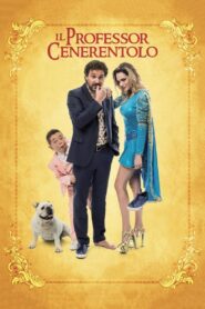 Il professor Cenerentolo – 2015 – Online In Netflix