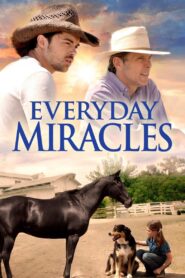 Everyday Miracles – 2015 – Online In Netflix