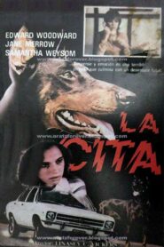 The Appointment – 1983 – Online In Netflix