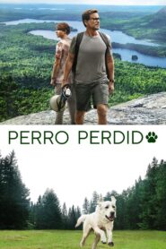 Perro perdido – 2023 – Online In Netflix