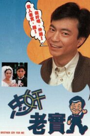 忠奸老實人 – 1991 Online gratis free Netflix
