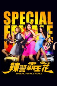 辣警霸王花 – 2016 – Online In Netflix