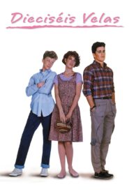Dieciséis velas – 1984 – Online In Netflix