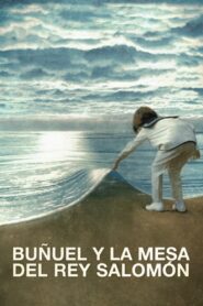 Buñuel y la mesa del rey Salomón – 2001 – Online In Netflix
