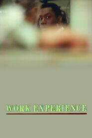 Work Experience – 1989 – Online In Netflix