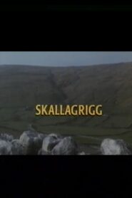 Skallagrigg – 1994 – Online In Netflix