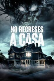 No regreses a casa – 2020 – Online In Netflix