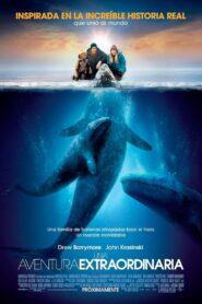 Una gran esperanza – 2012 – Online In Netflix