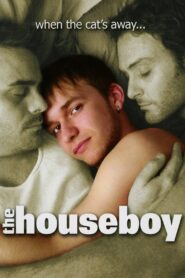 The Houseboy – 2007 – Online In Netflix