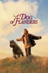 El amigo más fiel – 1999 – Online In Netflix