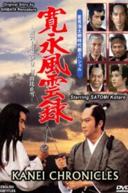 寛永風雲録 – 1991 – Online In Netflix