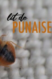 Lit de punaise – 2019 – Online In Netflix