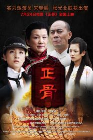 正骨 – 2013 – Online In Netflix