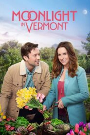 Moonlight in Vermont – 2017 – Online In Netflix