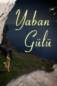 Yaban Gülü – 2008 Online gratis free Netflix