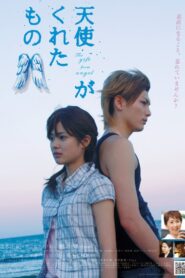 天使がくれたもの – 2007 – Online In Netflix