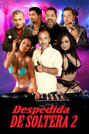 Despedida de soltera 2 – 2020 – Online In Netflix