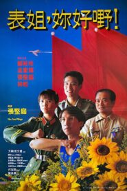 表姐，妳好嘢！ – 1990 – Online In Netflix