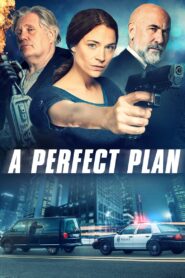 A Perfect Plan – 2020 – Online In Netflix