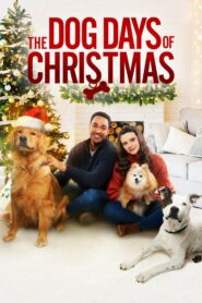 Sit. Stay. Love. – 2022 – Online In Netflix