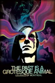 The Past Is a Grotesque Animal – 2014 – Online In Netflix