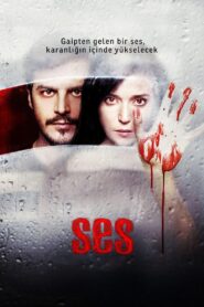 Ses – 2010 – Online In Netflix