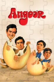 अंगूर – 1982 – Online In Netflix