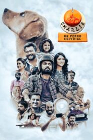 Charlie: Un perro especial – 2022 – Online In Netflix