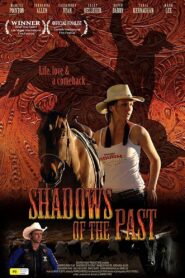 Shadows of the Past – 2009 – Online In Netflix