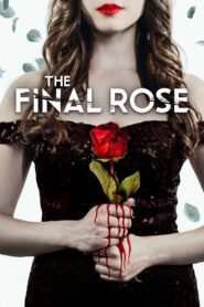 The Final Rose – 2022 – Online In Netflix
