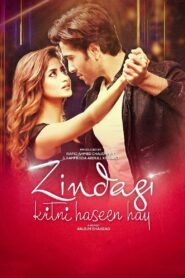 زندگی کتنی حسین ہے – 2016 – Online In Netflix