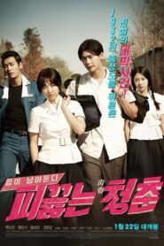피끓는 청춘 – 2014 – Online In Netflix