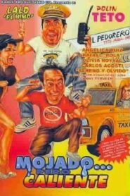 Mojado… pero caliente – 1989 – Online In Netflix