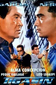 Tigasin – 1999 – Online In Netflix